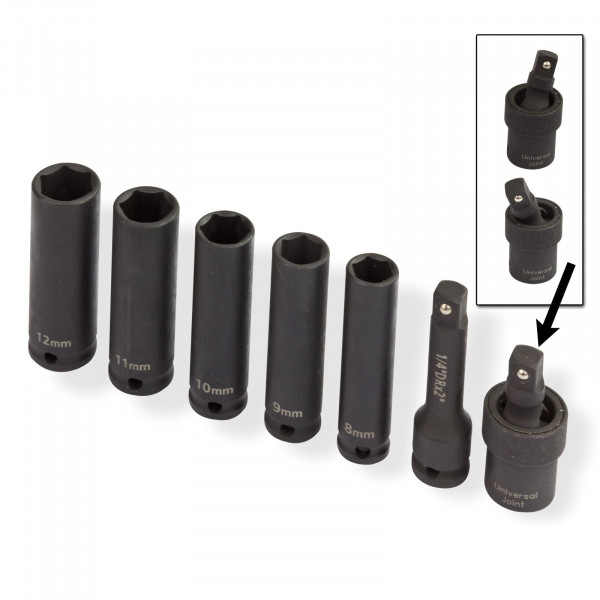 Das beiliegende Nuss-Set