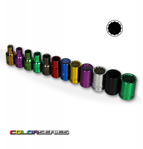 Vielzahn Nuss Set - Color